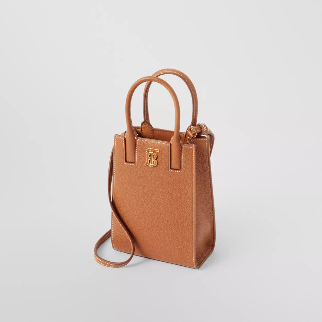 Grainy Leather Micro Frances Tote