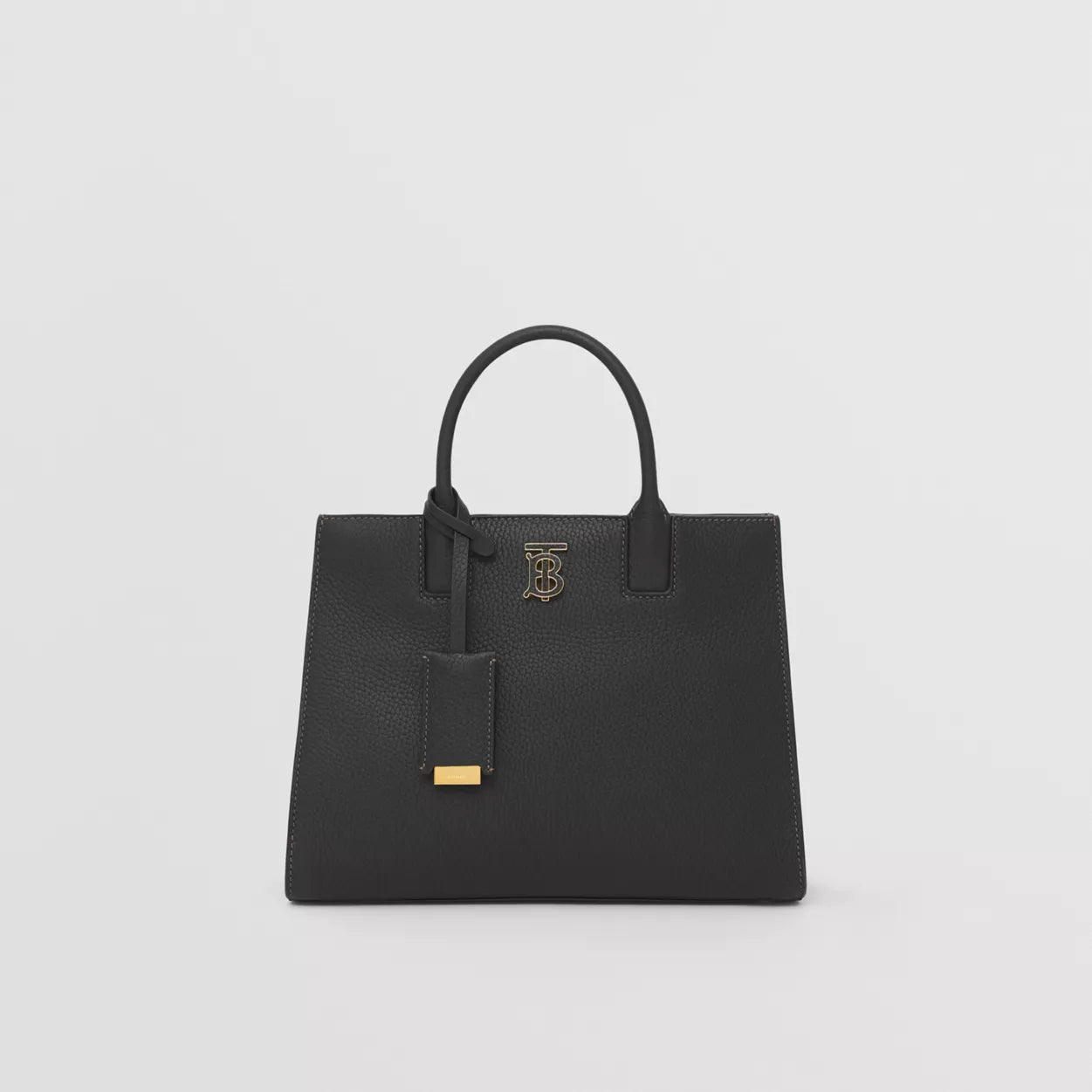 Grainy Leather Mini Frances Bag