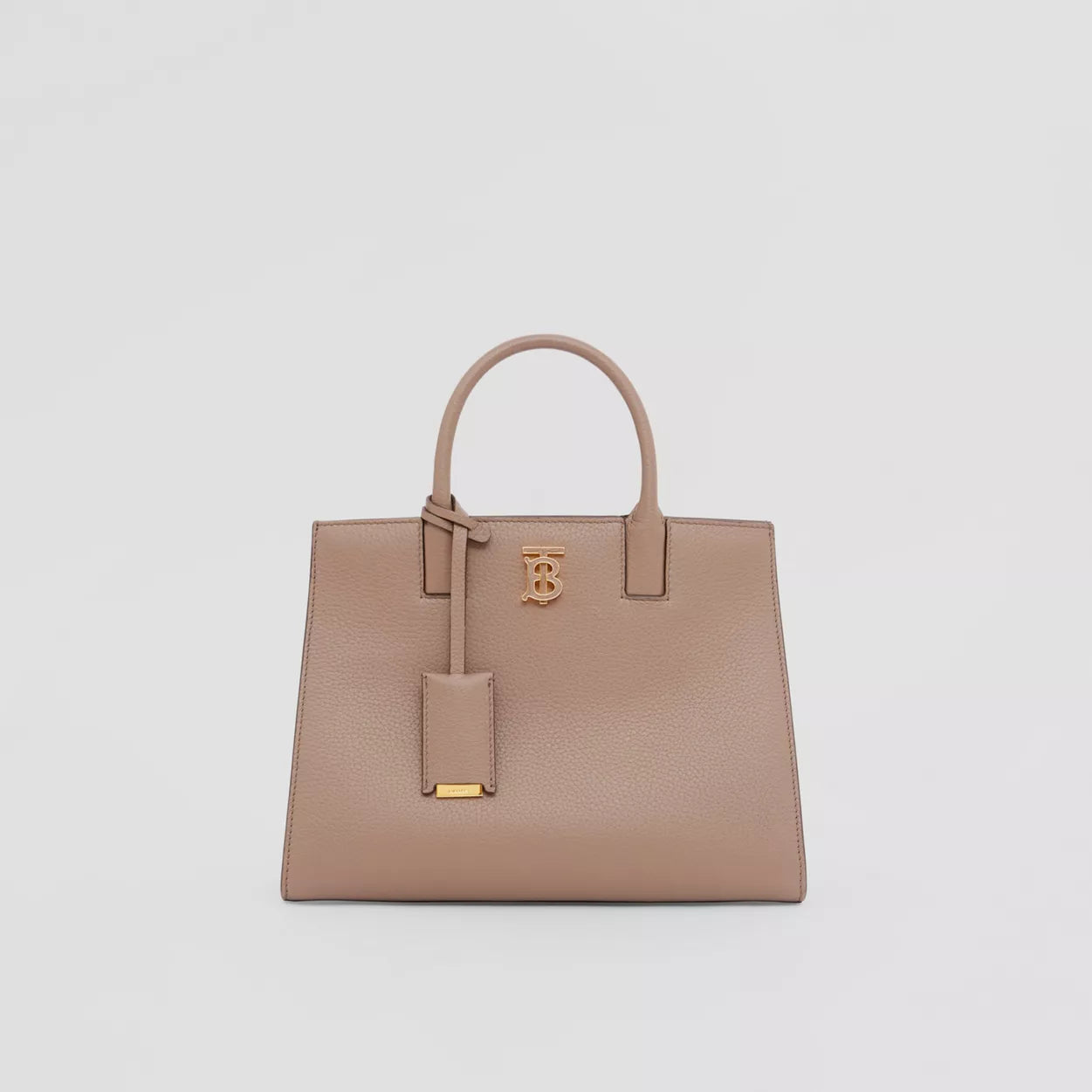 Grainy Leather Mini Frances Bag