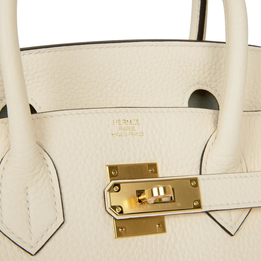 Hermès Birkin 30 Nata Clemence Gold Hardware