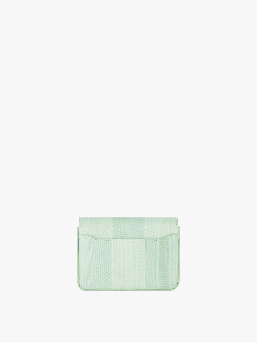 Small 4G bag in ayers with chain Celadon